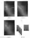Fig. 04 - Method for stratigraphic interpretation of seismic images