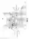 Fig. 03 - PET EYE CORRECTION