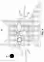 Fig. 05 - PET EYE CORRECTION