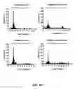 Fig. 09 - Use of endogenous fluorescence to identify invading metastatic breast tumor cells