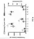 Fig. 14 - Use of endogenous fluorescence to identify invading metastatic breast tumor cells