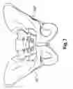 Fig. 09 - DETERMINING A THREE-DIMENSIONAL MODEL OF A RIM OF AN ANATOMICAL STRUCTURE