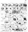 Fig. 01 - Identification and classification of virus particles in textured electron micrographs