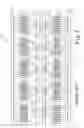 Fig. 02 - Optimised multiplexer/demultiplexer optical structure