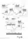Fig. 04 - Optimised multiplexer/demultiplexer optical structure
