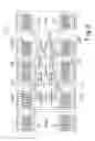 Fig. 07 - Optimised multiplexer/demultiplexer optical structure