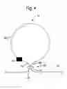 Fig. 05 - Optical Pulse Regenerator