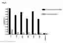 Fig. 05 - Immunoglobulin against 