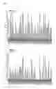 Fig. 09 - Immunoglobulin against 