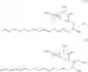 Fig. 03 - Use of active principles which are capable of enhancing the content of ceramides, as protective agent for delicate lips