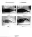 Fig. 02 - NANOSILVER-CONTAINING PRESERVATION ARTICLES, AND THE PREPARATION PROCESS AND THE USES THEREOF