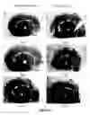 Fig. 03 - NANOSILVER-CONTAINING PRESERVATION ARTICLES, AND THE PREPARATION PROCESS AND THE USES THEREOF