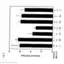Fig. 04 - Cancer metastasis inhibitory composition