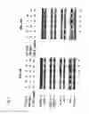 Fig. 08 - Cancer metastasis inhibitory composition
