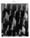 Fig. 03 - METHOD AND APPRATUS FOR HIGH DENSITY NANOSTRUCTURES