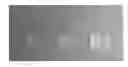 Fig. 01 - Liquid Crystal Aligning Agent and Liquid Crystal Alignment Layer Formed Using the Same