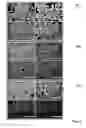 Fig. 05 - Oriented Zeolite Material and Method for Producing the Same