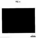 Fig. 05 - Silicon carbide single crystal wafer and method for manufacturing the same