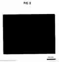 Fig. 07 - Silicon carbide single crystal wafer and method for manufacturing the same