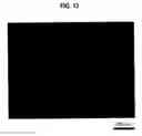 Fig. 14 - Silicon carbide single crystal wafer and method for manufacturing the same