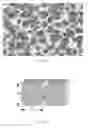 Fig. 09 - Modified porous materials and method of forming the same