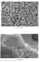 Fig. 12 - Modified porous materials and method of forming the same