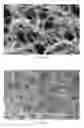 Fig. 13 - Modified porous materials and method of forming the same