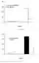 Fig. 18 - Modified porous materials and method of forming the same