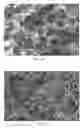 Fig. 19 - Modified porous materials and method of forming the same