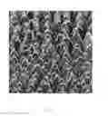 Fig. 06 - Method of bonding solid materials