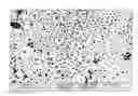 Fig. 01 - Anodising aluminum alloy