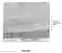 Fig. 02 - Anodising aluminum alloy