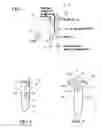 Fig. 02 - LIGHT-POWERED MICROBIAL FUEL CELLS