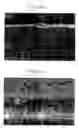 Fig. 06 - Method and Arrangement for a Dental Installation