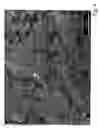 Fig. 05 - Dental implant and method for the production thereof