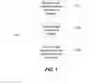 Fig. 02 - METHOD AND APPARATUS FOR EMOTIONAL PROFILING