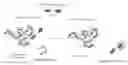 Fig. 01 - FLUORESCENT POLYMER SUPERQUENCHING-BASED BIOASSAYS