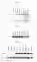 Fig. 07 - Human Protooncogene and Protein Encoded Therein