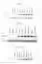 Fig. 08 - Human Protooncogene and Protein Encoded Therein