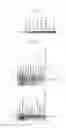 Fig. 11 - Human Protooncogene and Protein Encoded Therein