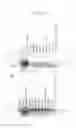 Fig. 15 - Human Protooncogene and Protein Encoded Therein