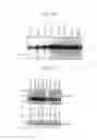 Fig. 22 - Human Protooncogene and Protein Encoded Therein
