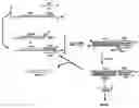 Fig. 01 - Detection Of Nucleic Acids By Target-Catalyzed Product Formation
