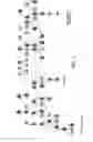 Fig. 03 - Identification and use of biomarkers for non-invasive and early detection of liver injury