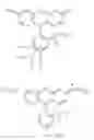 Fig. 01 - MULTI-COLOR TIME RESOLVED FLUOROPHORES BASED ON MACROCYCLIC LANTHANIDE COMPLEXES
