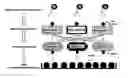 Fig. 01 - Method for detection of substance bound to nuclear receptor