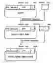 Fig. 01 - Monomeric streptavidin muteins