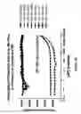 Fig. 11 - SENSOR PROTEINS AND ASSAY METHODS