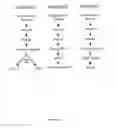 Fig. 10 - Methods and compositions for modulating telomerase reverse transcriptase (TERT) expression