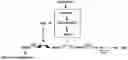 Fig. 01 - Enhancement of Th2-Dependent and Inflammatory Response